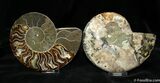 Large Inch Polished Pair From Madagascar #1060-1